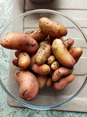 image0000011 (1).jpg