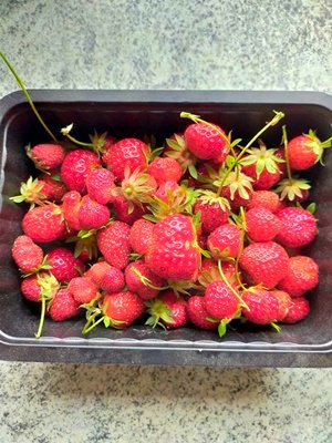 image0000021 (1).jpg