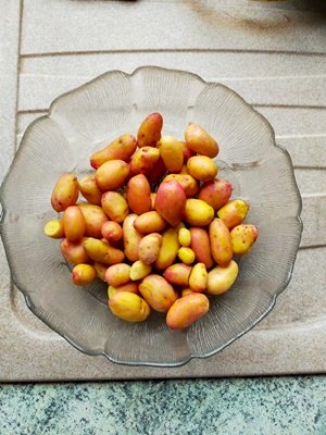 image0000001 (1)A.jpg