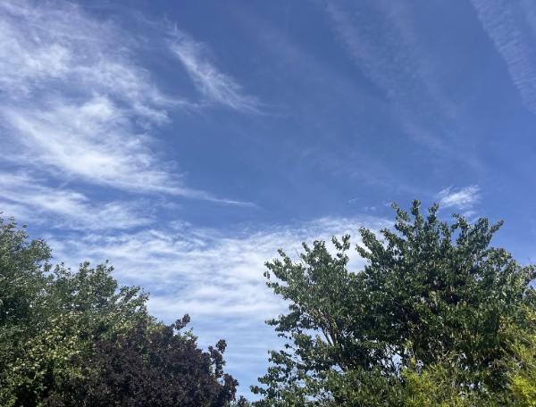 IMG_6594.jpeg