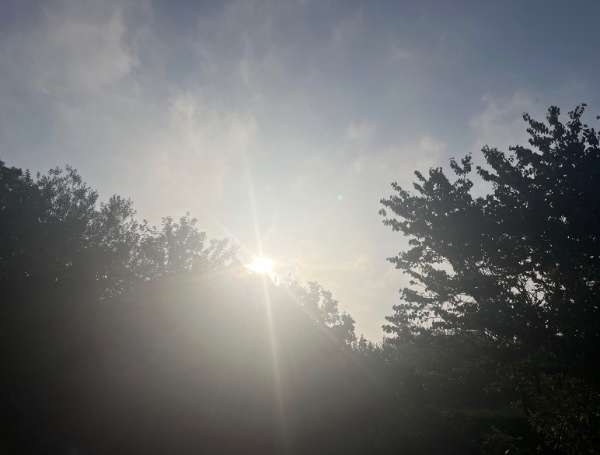 IMG_6595.jpeg