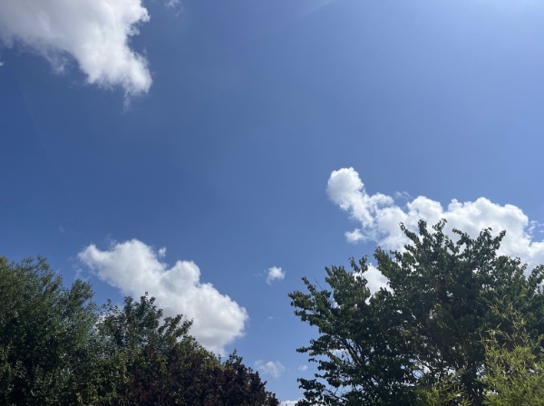IMG_6596.jpeg