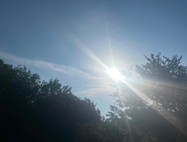 IMG_6597.jpeg
