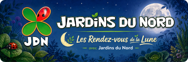 header_calendrier_lunaire_02.png