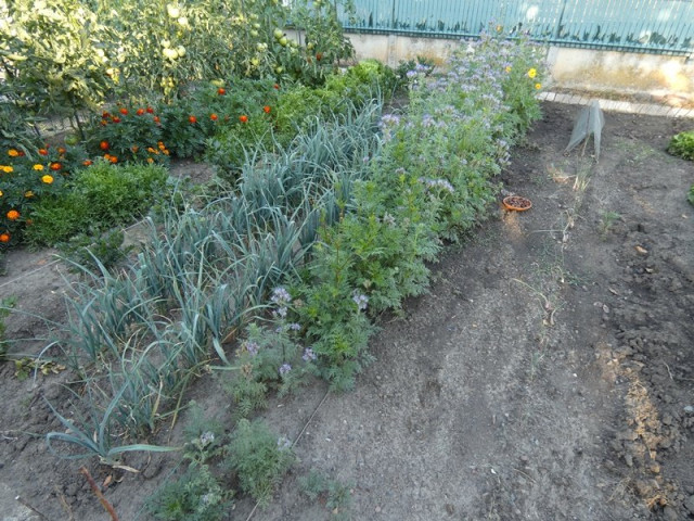 P1030207.JPG