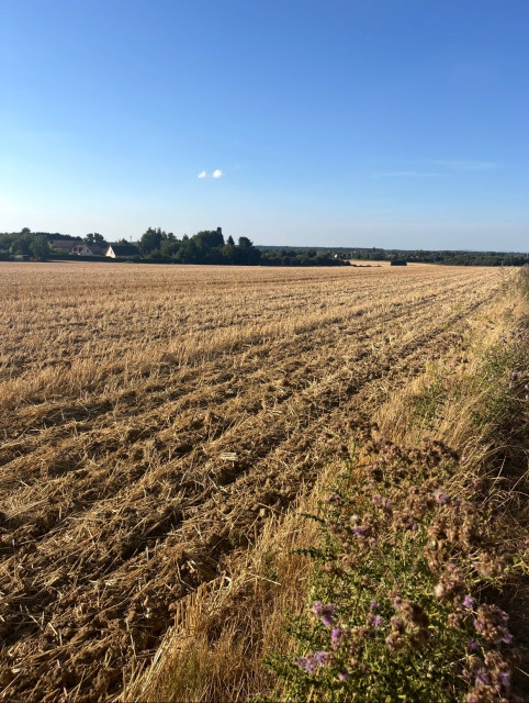 Cliquez sur l’image pour l’agrandir.