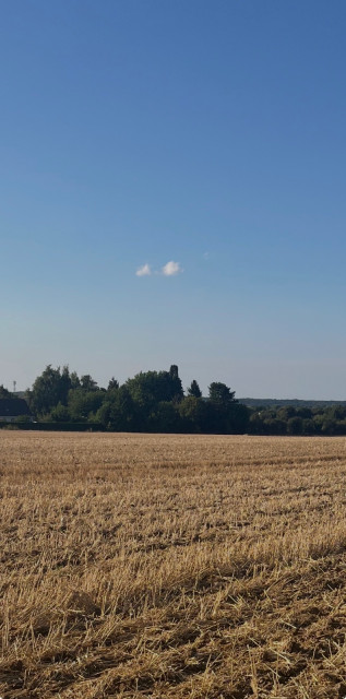 Cliquez sur l’image pour l’agrandir.