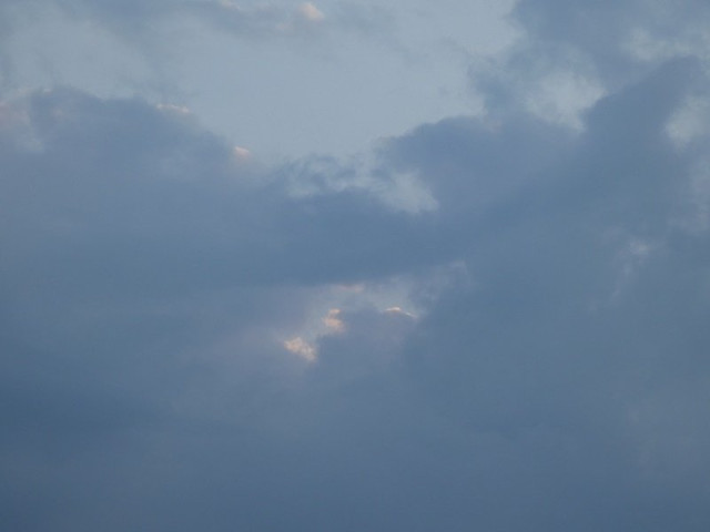 P1030351.JPG