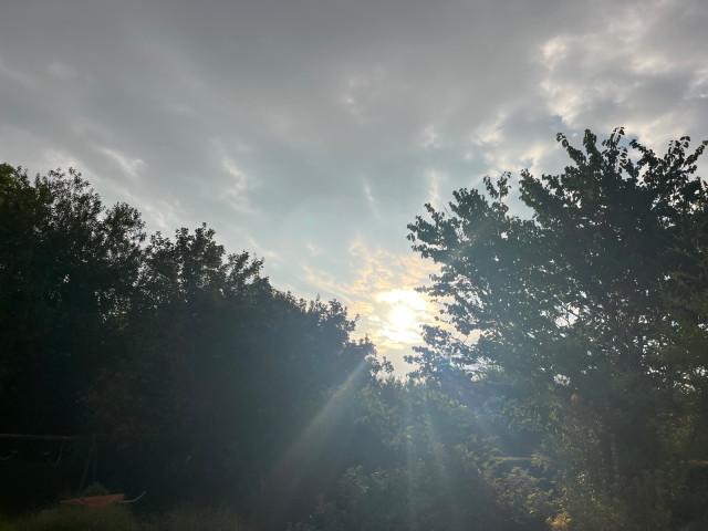 Cliquez sur l’image pour l’agrandir.