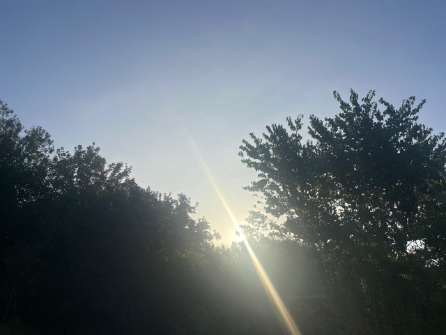 IMG_8211.jpeg