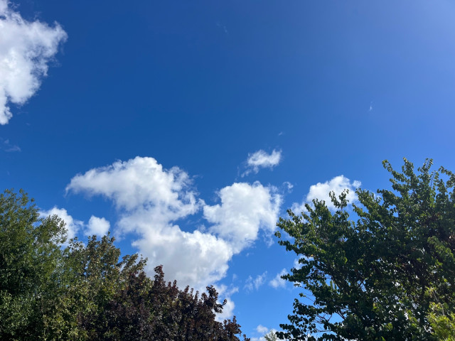 IMG_8212.jpeg