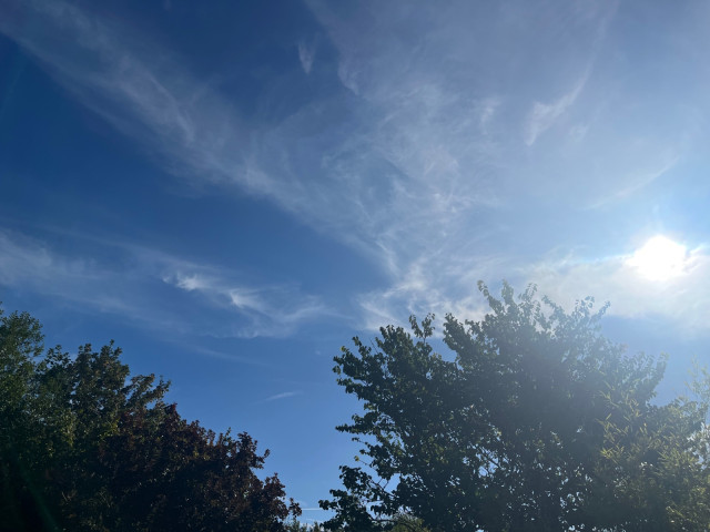 IMG_8271.jpeg