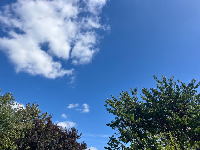 IMG_8291.jpeg