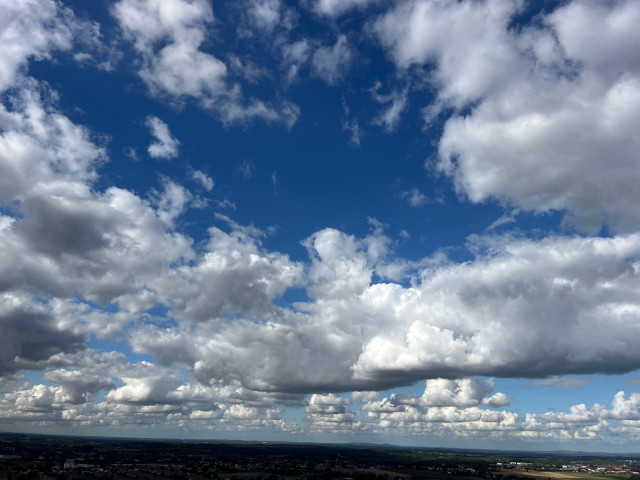 IMG_8217.jpeg