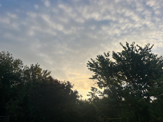 IMG_8454.jpeg