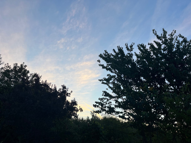 IMG_8605.jpeg