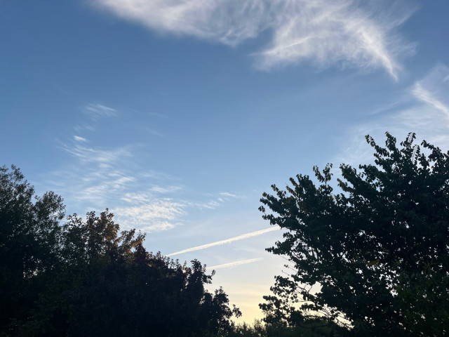 IMG_8659.jpeg
