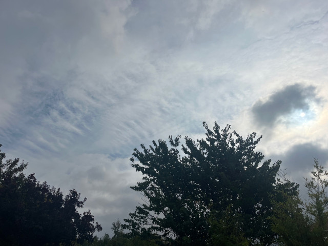 IMG_8802.jpeg