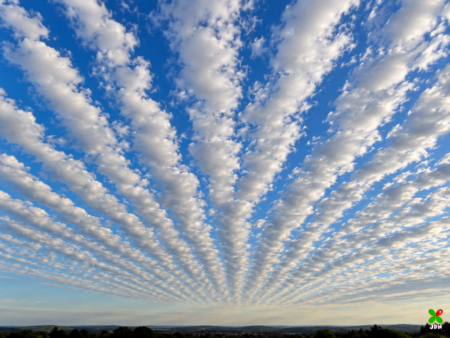 Altocumulus radiatus.