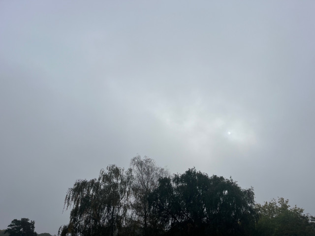 IMG_8901.jpeg