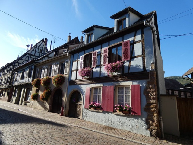 P1040868.JPG
