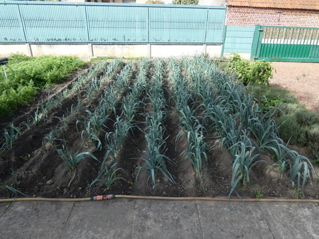 P1050355.JPG