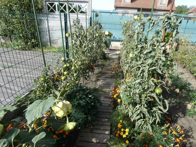 P1050361.JPG