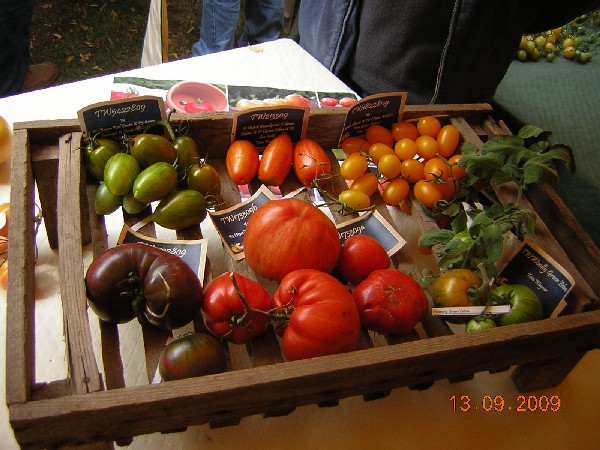 DSCN2943.JPG