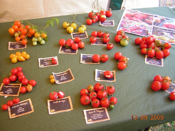 DSCN2947.JPG