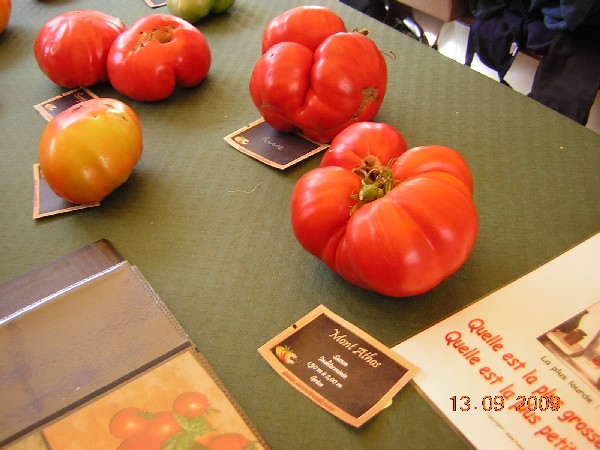 DSCN2948.JPG