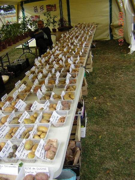 DSCN2952.JPG