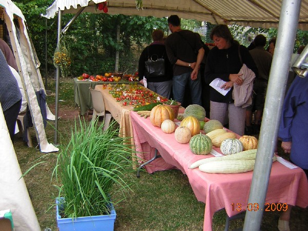 DSCN2953.JPG