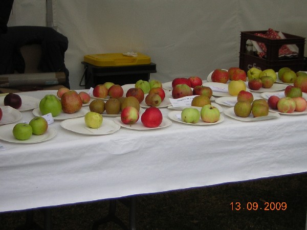 DSCN2959.JPG