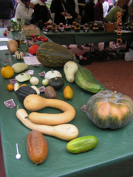 DSCN2963.JPG