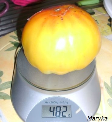 poids  (2).JPG
