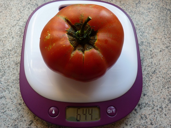 tomate supersteak