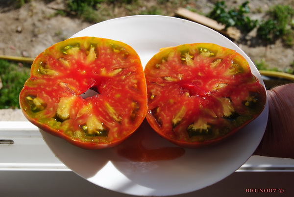 ANANAS Noir c2.jpg