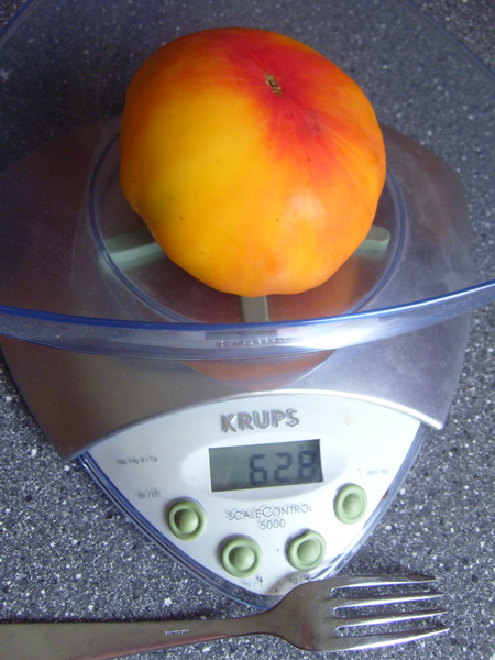 628g.jpg