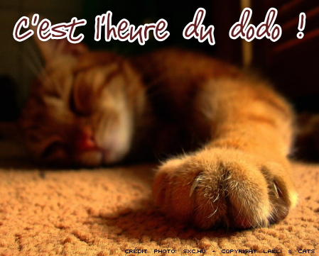9adc50e4-537e-481f-b489-176686f6c8c1_bonnenuit21.jpg