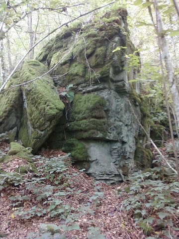Cuy rochers.jpg