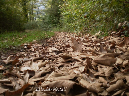 PA010012.JPG