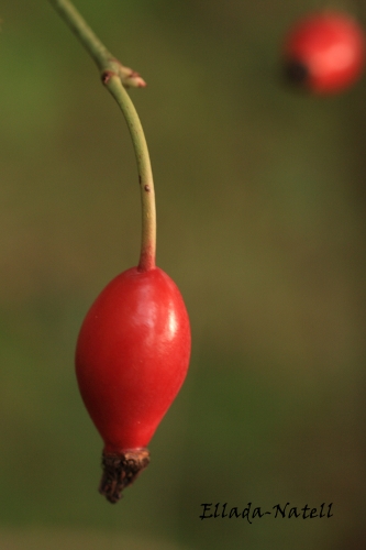 c_0001.JPG