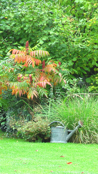 IMGA0910.JPG