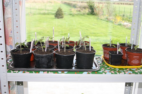 IMG_1142.JPG