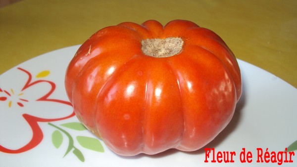 une très belle couleur , bien rouge