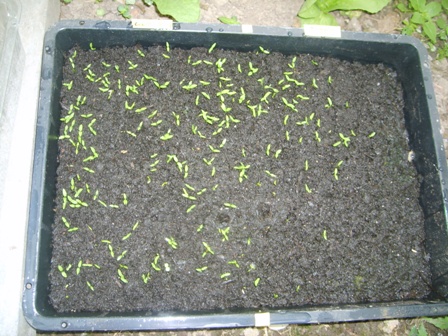 S5002180.JPG