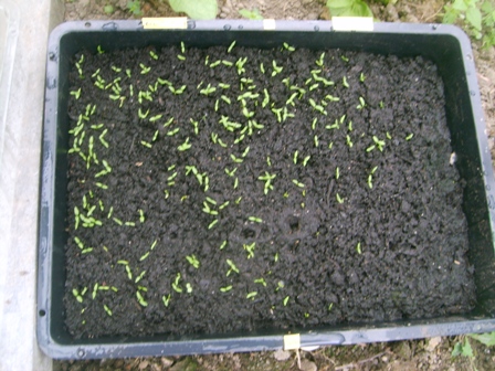 S5002181.JPG