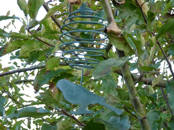 mangeoire pour boules de graisse