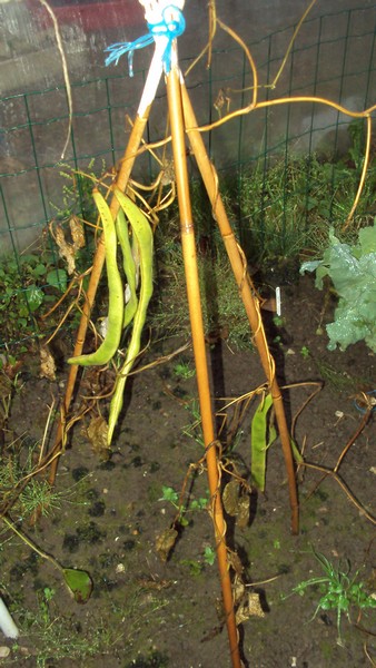 DSC02827.JPG