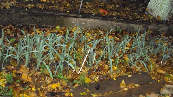 DSC02830.JPG